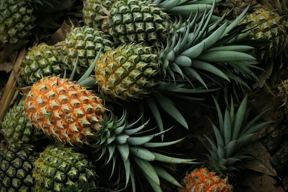 pineapple-158124.jpg - 204.36 kB