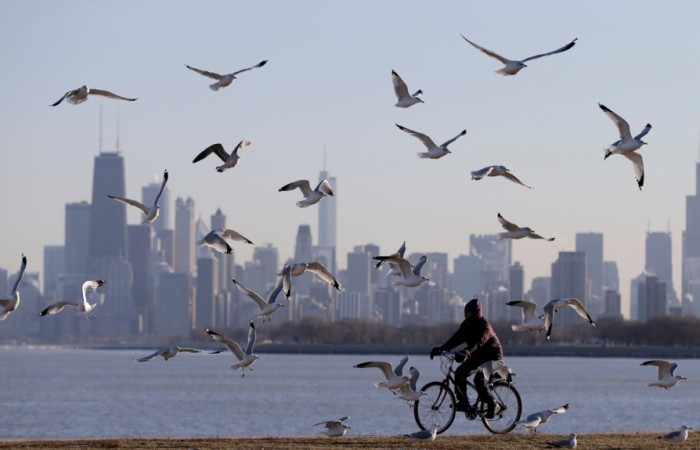 ‘แสงศิวิไลซ์-มลภาวะทางแสง’ ฆ่านกอพยพปีละนับพันล้านตัว