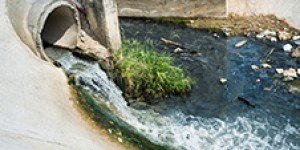 NQI ของ น้ำเสีย/น้ำทิ้งจากการประกอบกิจการแปรรูปมะพร้าวขนาดเล็ก