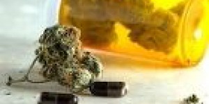 ประกาศกระทรวงสาธารณสุข (ฉบับที่ 428) พ.ศ. 2564 ออกตามความในพระราชบัญญัติอาหาร พ.ศ. 2522 เรื่อง มาตรฐานอาหารที่มีสารปนเปื้อนชนิดสารเตตราไฮโดรแคนนาบินอล และสารแคนนาบิไดออล