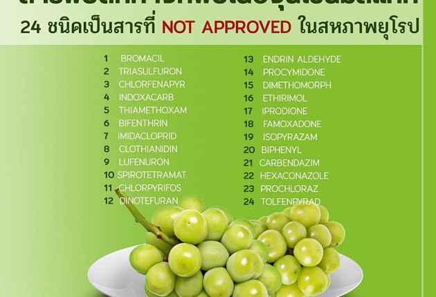 เชือดเกลี้ยง! ถ้าเป็นมาตรฐานอียู จากกรณีพบสารพิษในองุ่นไชน์มัสแคท
