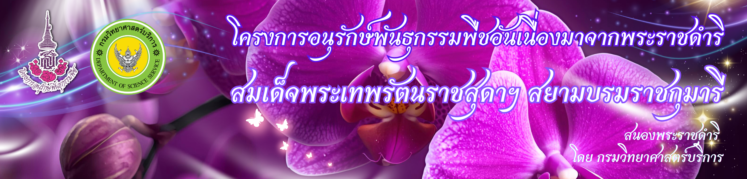 โครงการอนุรักษ์พันธุกรรมพืชอันเนื่องมาจากพระราชดำริฯ กรมวิทยาศาสตร์บริการ