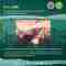 This image for Image Layouts addon