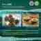 This image for Image Layouts addon